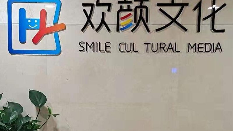 品牌设计价格解析：揭秘影响品牌设计费用的关键因素