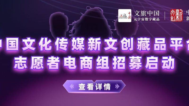 公关传播行业十大品牌公司：揭秘其成功之道